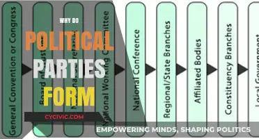 Why Political Parties Form: Uniting Interests, Shaping Governance, and Driving Change