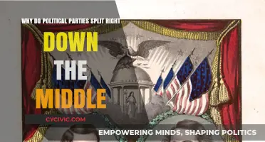 Divided Loyalties: Unraveling the Causes of Political Party Schisms