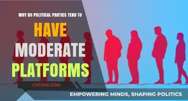 Moderate Platforms: The Strategic Appeal of Centrism in Political Parties