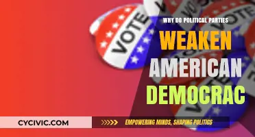 How Political Parties Undermine the Foundations of American Democracy