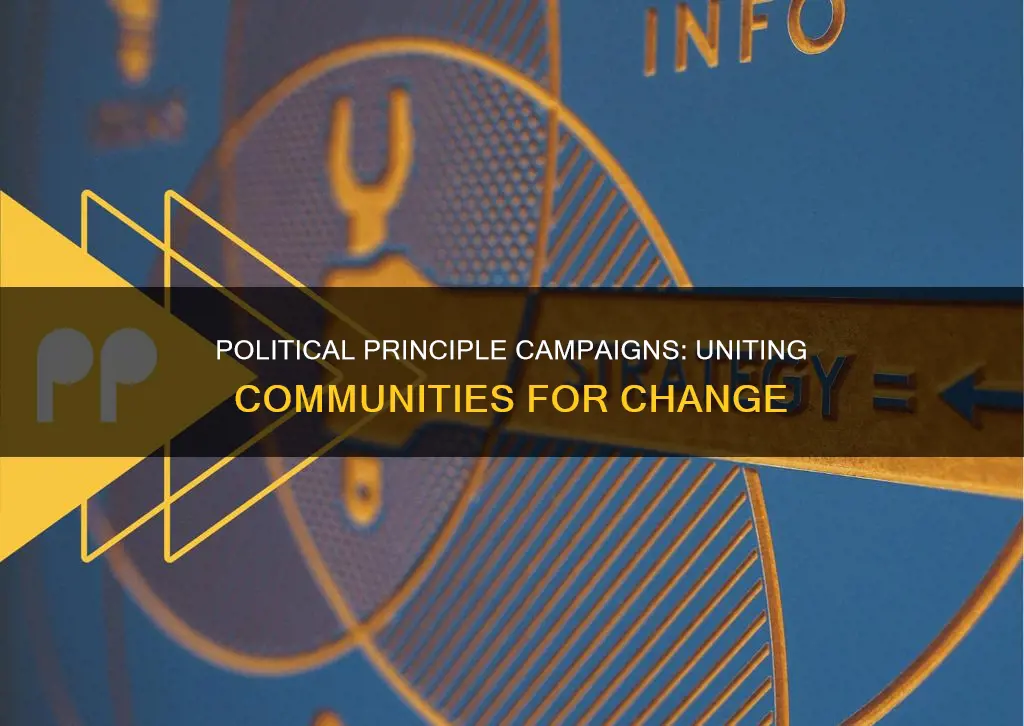 why do political prinicple campaigns incorporate