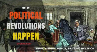 Unraveling the Catalysts: Why Political Revolutions Ignite and Transform Nations