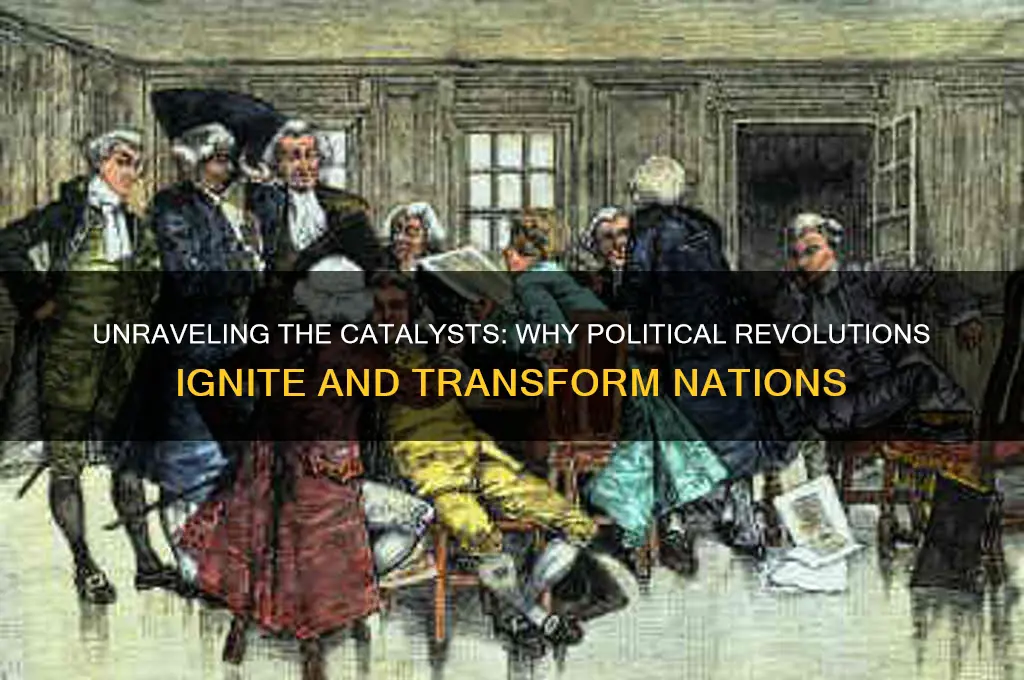 why do political revolutions happen