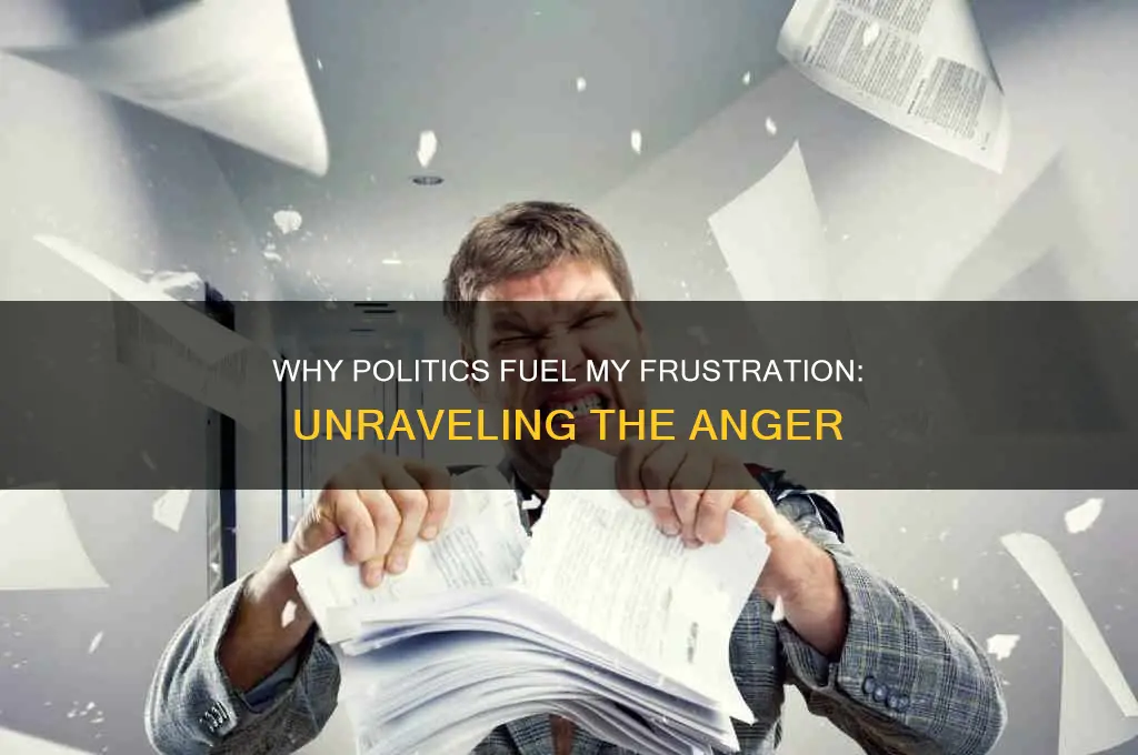 why do politics anger me