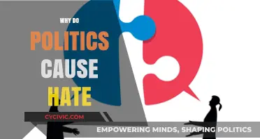 Divisive Politics: Unraveling the Roots of Hatred in Modern Society