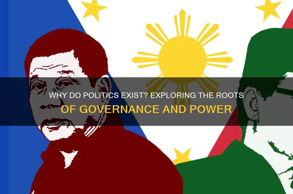 why do politics exist