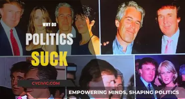 Why Politics Frustrate Us: Unraveling the Dysfunction in Modern Governance