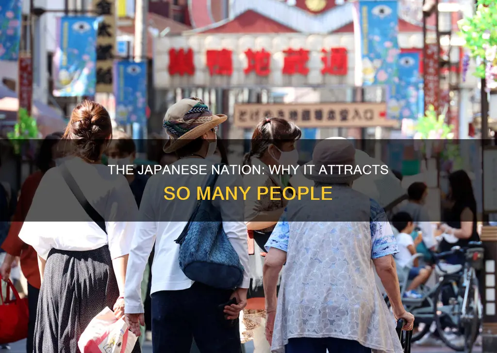 why do so many people belong to the japanese nation