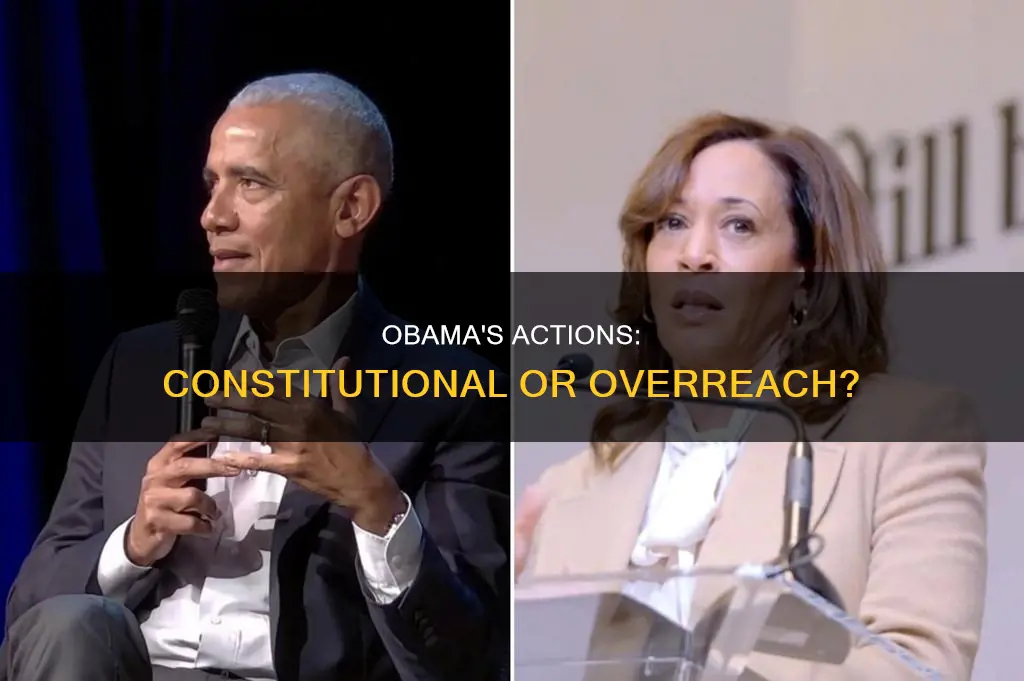 why do some believe obama went against the constitution