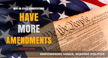 State Constitutions: Amendments and Their Evolution