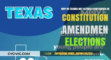 Texans' Apathy for Constitutional Amendment Elections