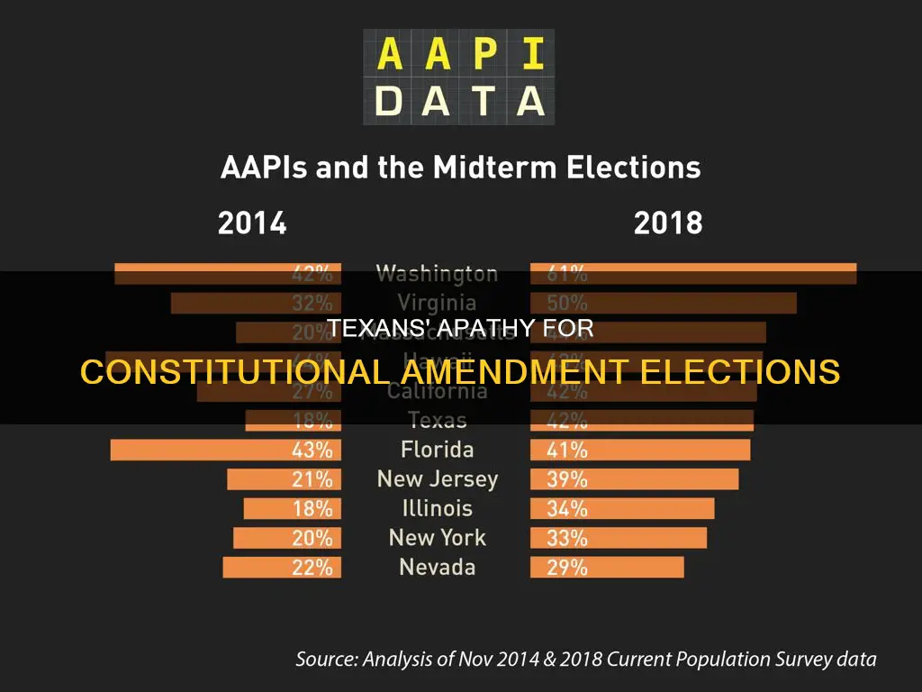 why do texans not actively participate in constitutional amendment elections