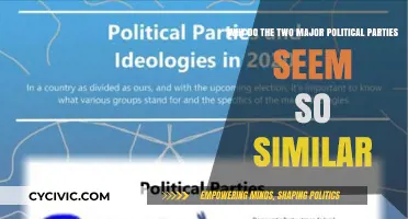 Blurring Lines: Why Democrats and Republicans Appear Increasingly Alike