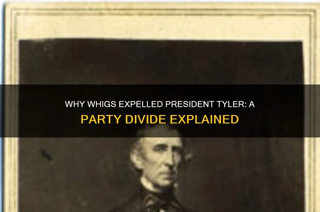 why do the whigs remove tyler from their political party