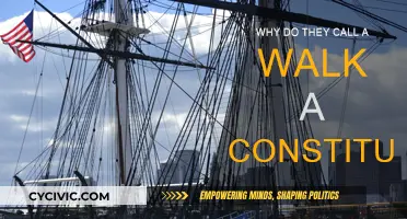 The History of "Constitutional" and Its Meaning Today