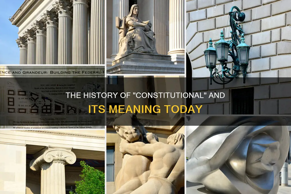 why do they call a walk a constitutional