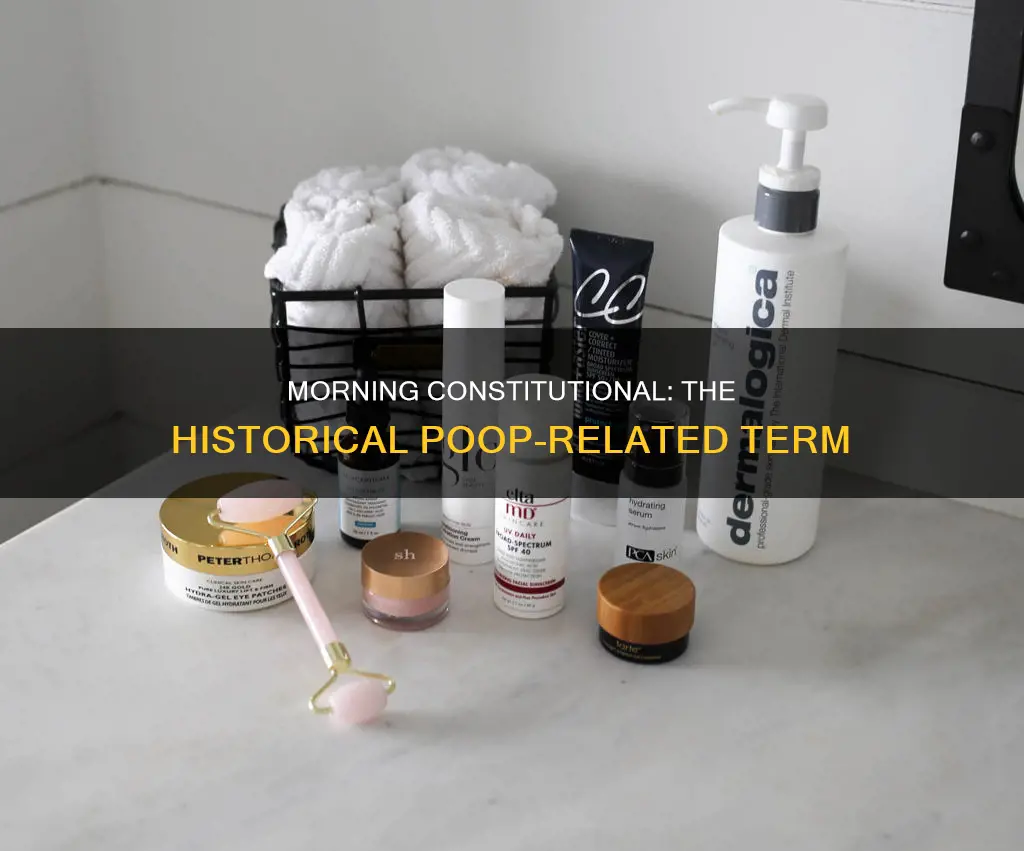 why do they call going poop a morning constitutional