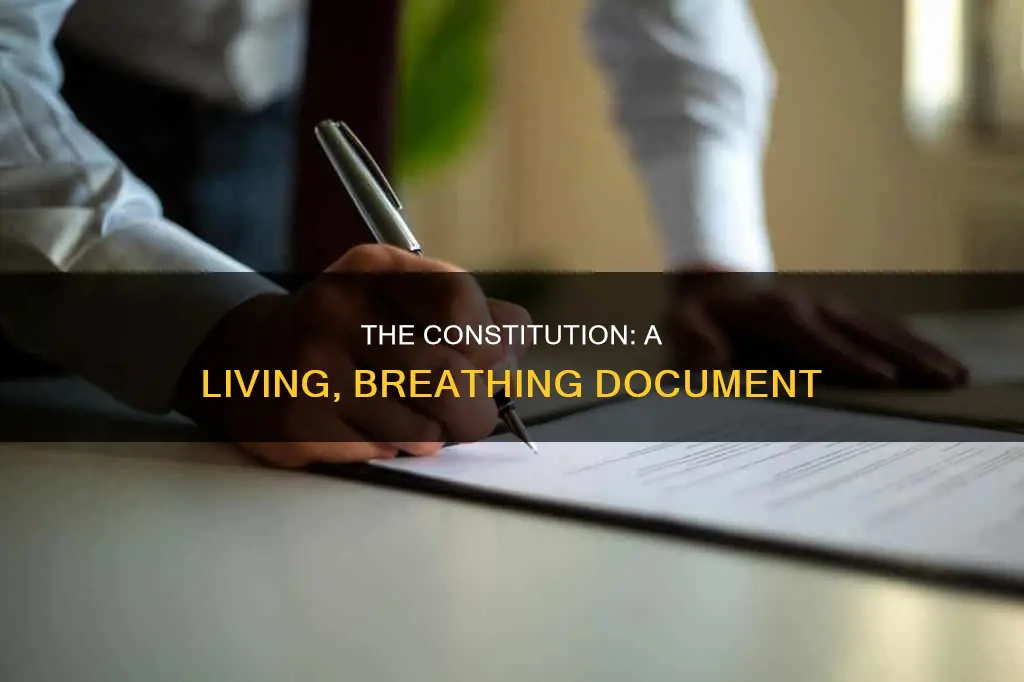 why do they call the constitution a living document