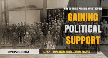 Why Third Parties Struggle to Gain Political Traction in Elections