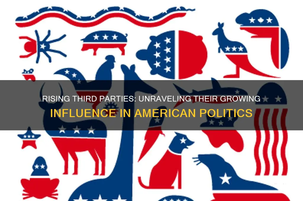 why do third parties rise in american politics