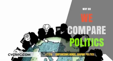 Comparing Politics: Understanding the Human Need to Analyze Governance