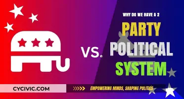 The Roots and Impact of America's Dominant Two-Party System