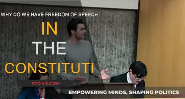 The Constitution's Freedom of Speech: Why?