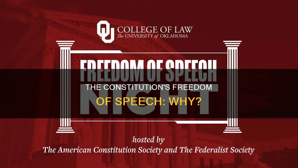 why do we have freedom of speech in the constitution