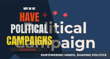 Political Campaigns: Mobilizing Voters, Shaping Opinions, and Influencing Outcomes