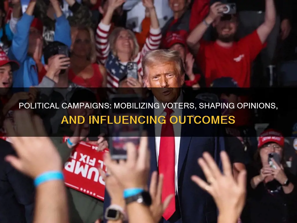 why do we have political campaigns