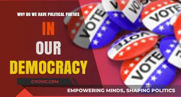 Why Political Parties Are Essential in Democratic Systems