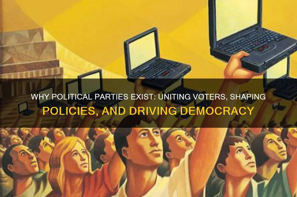 why do we have political parties