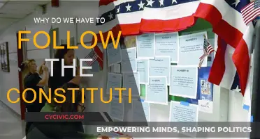 The Constitution: Our Nation's Guiding Light