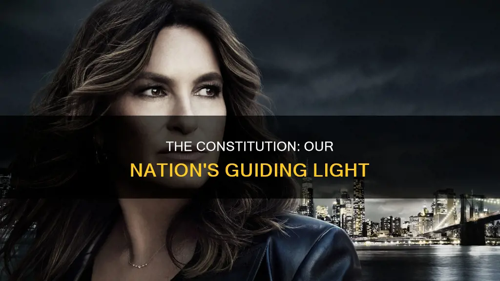 why do we have to follow the constitution