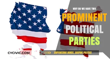 The Bipartisan Divide: Why Two Dominant Parties Shape American Politics