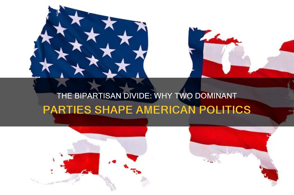 why do we have two prominent political parties