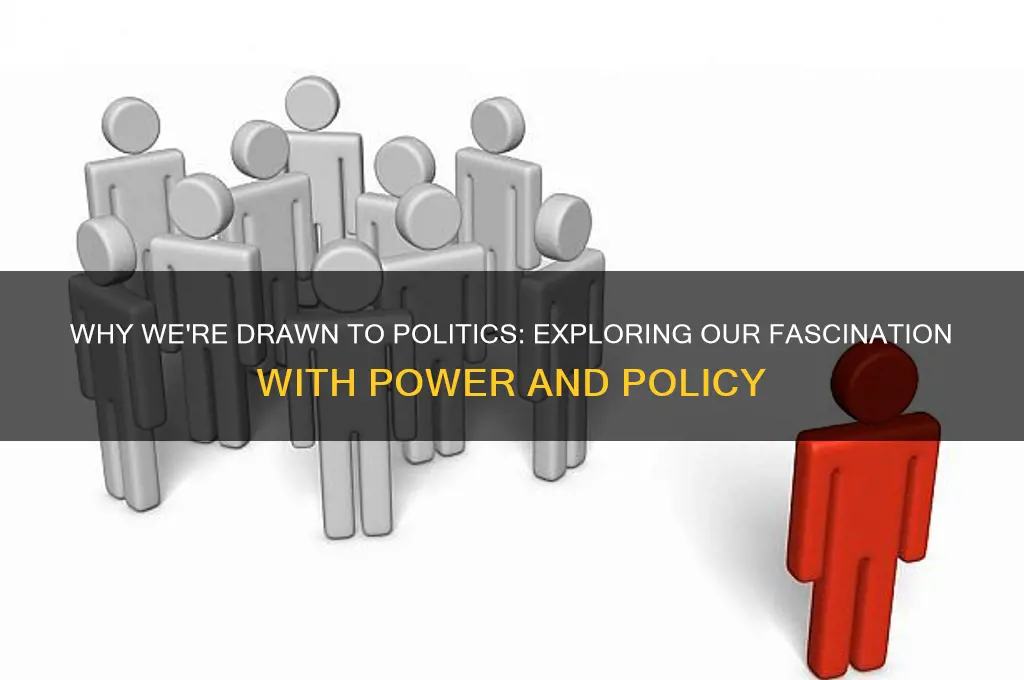 why do we like politics