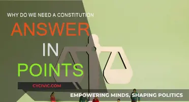 A Constitution: Our Rights, Our Freedoms, Our Future