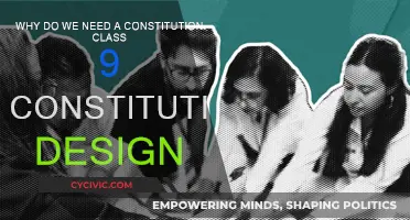 Constitution Class: Why It's Important