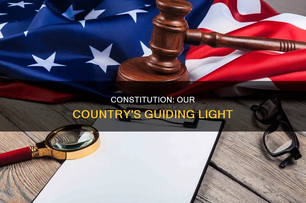 why do we need a constitution class 9 in points