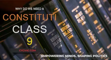 The Constitution: Our Nation's Vital Framework