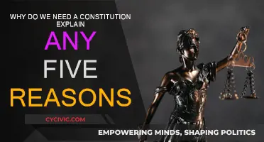 The Constitution: Our Foundation and Future