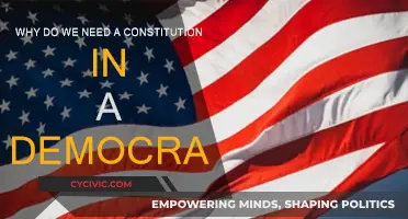 Democracy's Blueprint: Why Constitutions Matter