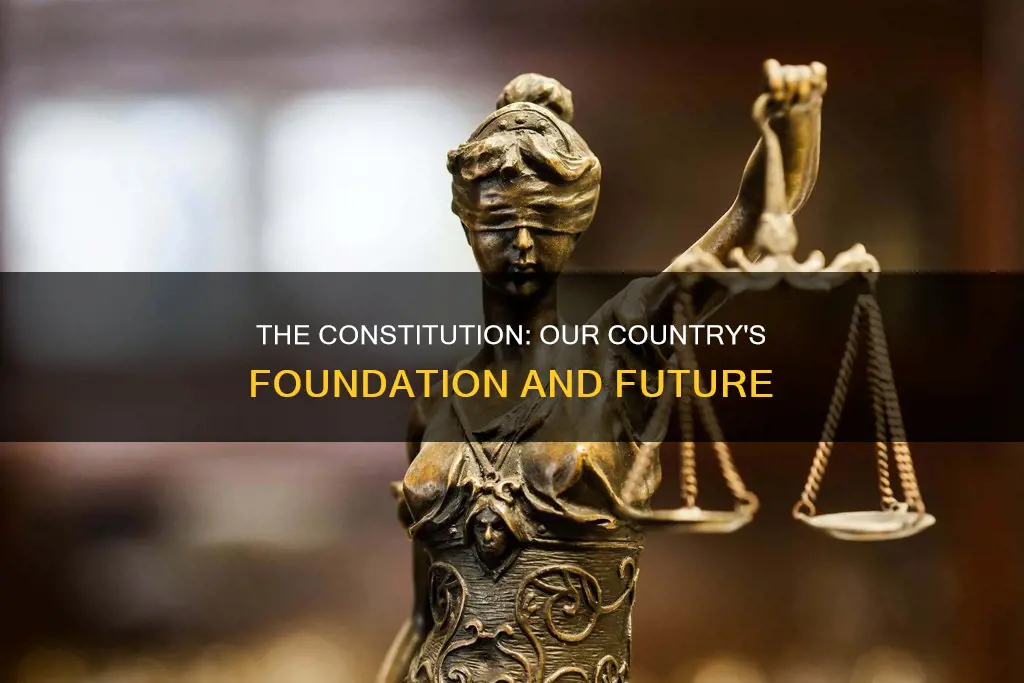 why do we need a constitution in our country