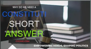 The Constitution: Our Nation's Vital Framework