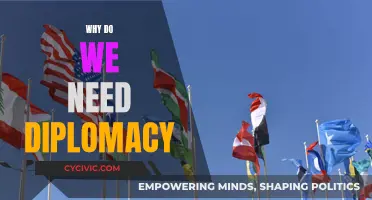 Diplomacy: A Necessary Tool for Global Peace and Progress