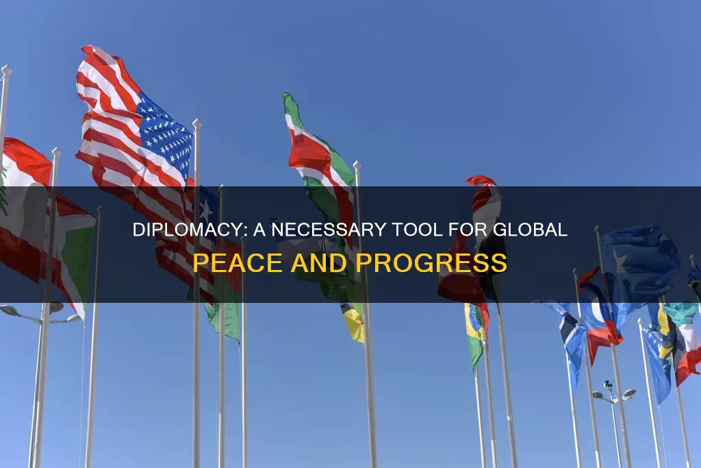 why do we need diplomacy