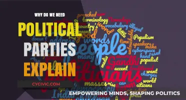 Why Political Parties Are Essential for Democratic Governance and Stability