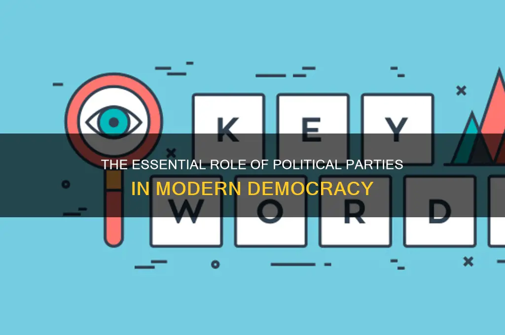 why do we need political parties in points