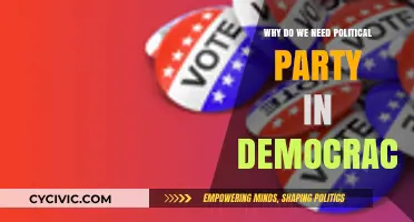 Why Political Parties Are Essential for Democratic Governance and Stability